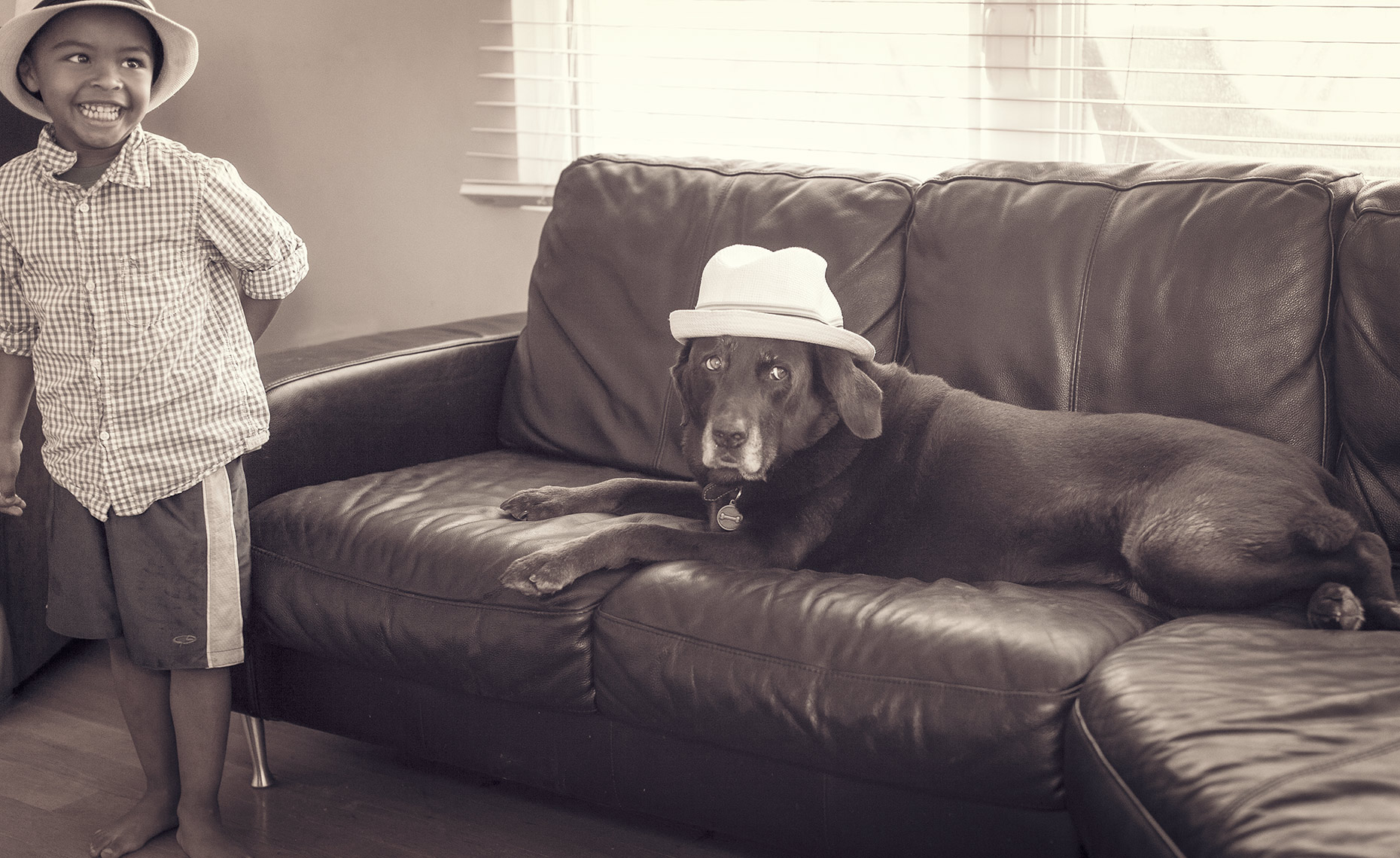 Quincy & Billie Doggy